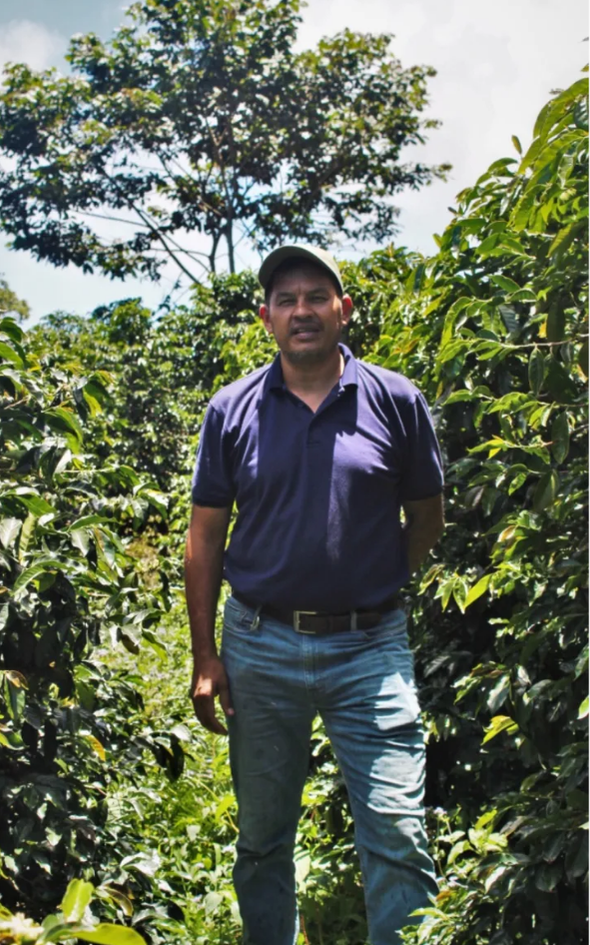 Cucurucho - [Catuai / Honey] 250g